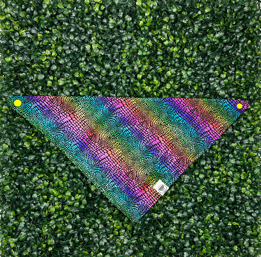 Metallic Rainbow Bandana