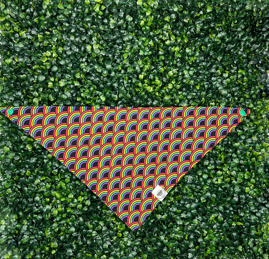 Over the Rainbow Bandana