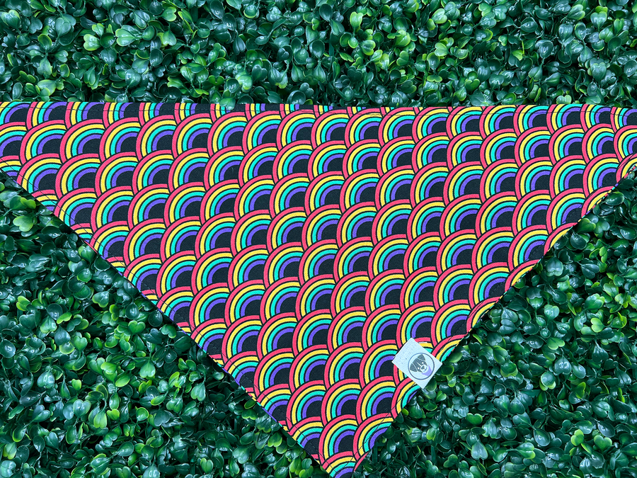 Over the Rainbow Bandana