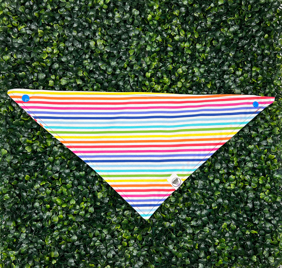 Rainbow Pride Stripe Bandana