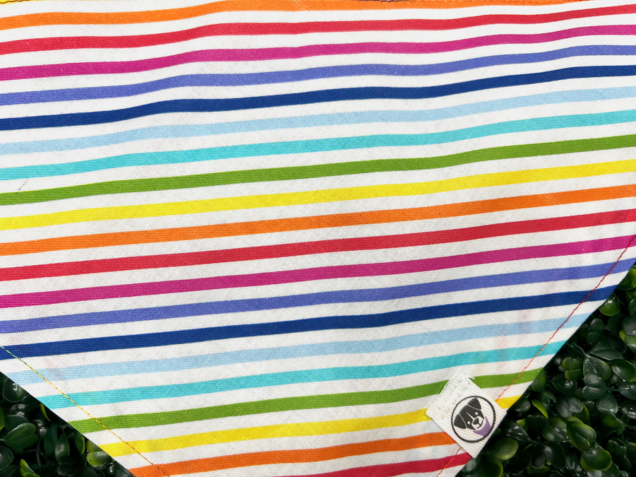 Rainbow Pride Stripe Bandana
