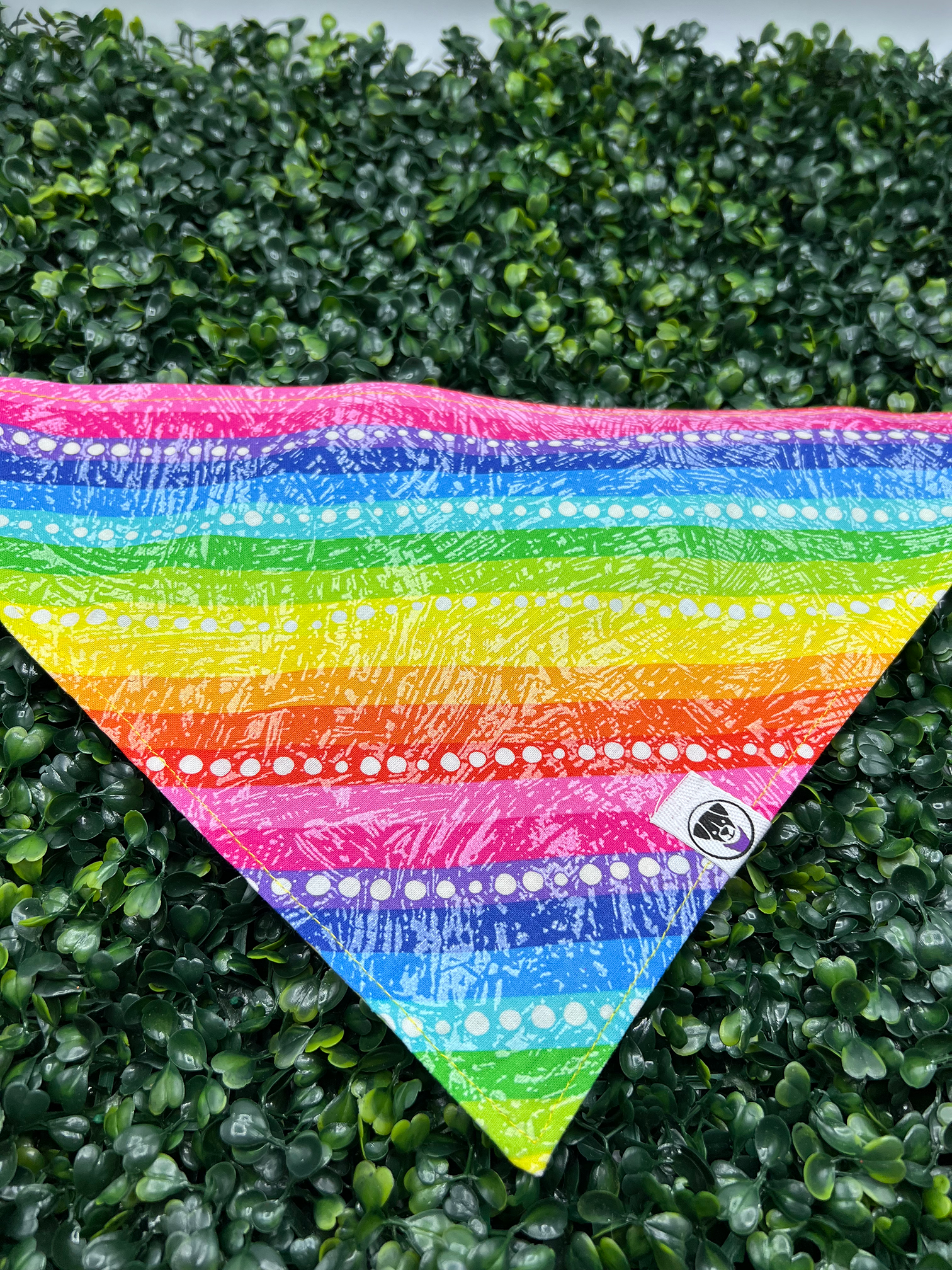 Rainbow Stripes and Dots Bandana