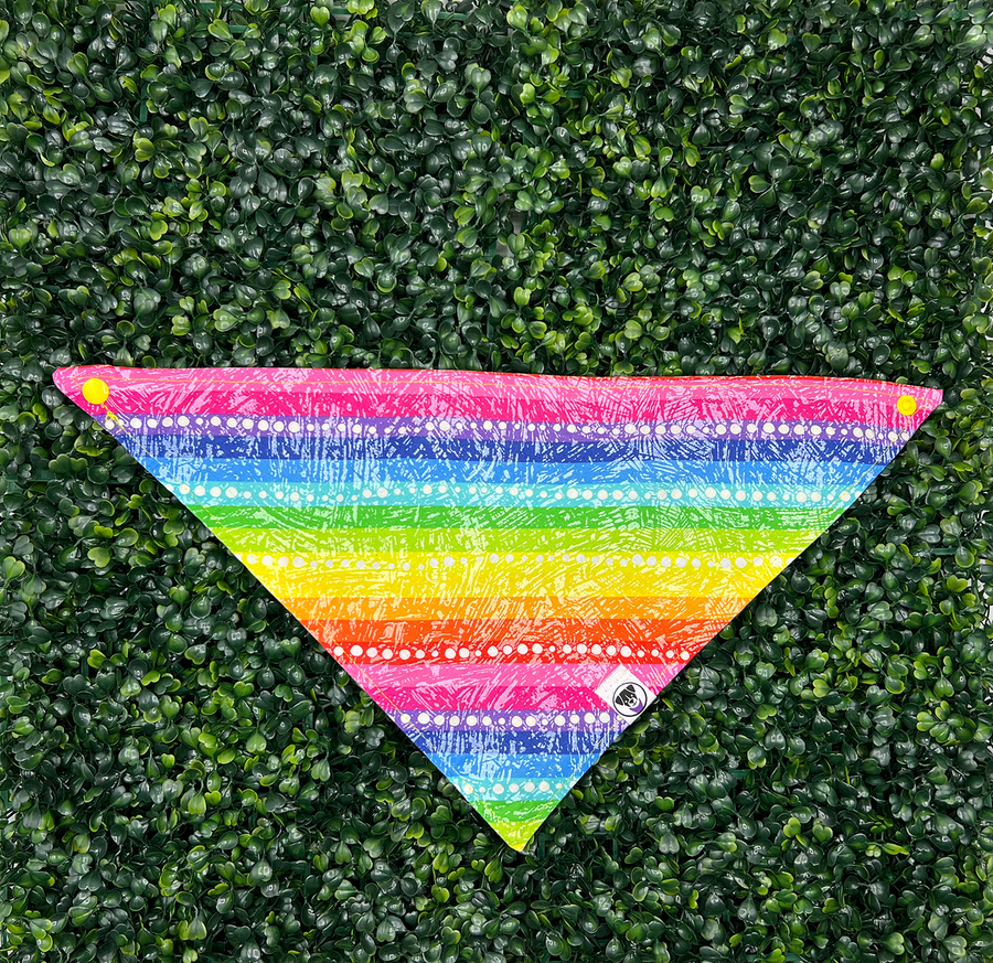Rainbow Stripes and Dots Bandana