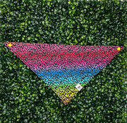 Rainbow Leopard Print Bandana