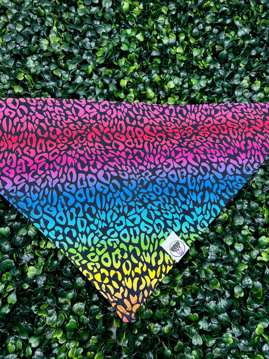 Rainbow Leopard Print Bandana