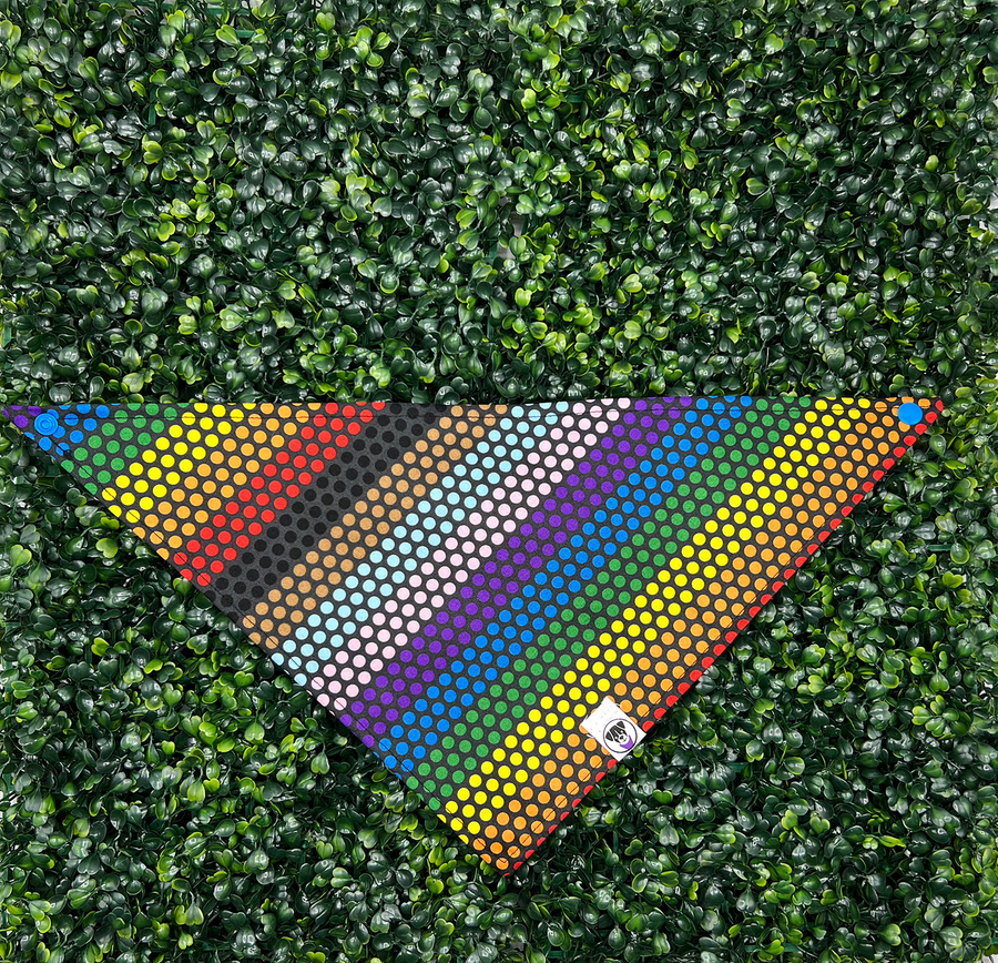 Pride Dots Bandana