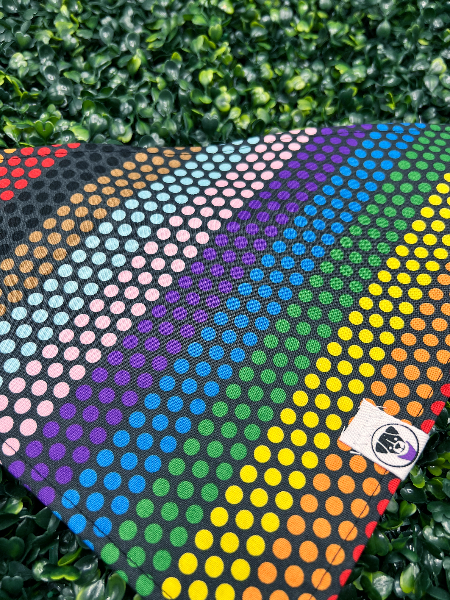 Pride Dots Bandana