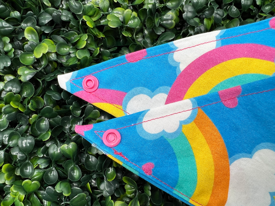 Care Bear Rainbow Bandana