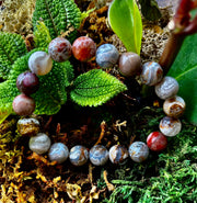 Reiki-Infused Natural Mexican Agate Bracelet for Balance, Harmony & Earth Grounding (8mm)