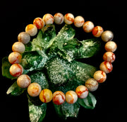 Reiki-Infused Natural Red Vein Jasper Bracelet for Grounding, Endurance & Emotional Stability (8mm)