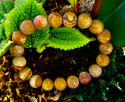 Matte Picture Jasper Power Bracelet – 10mm Grounding & Strength Stone Bracelet