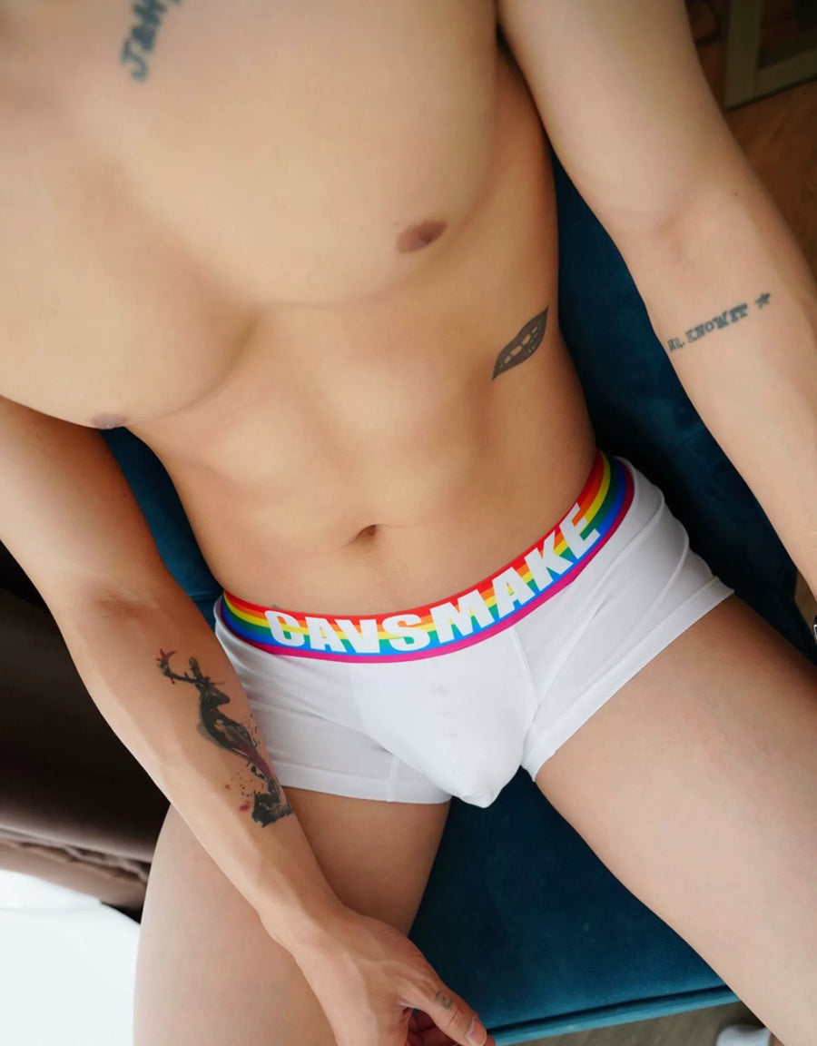 Sexy Comfortable Rainbow Black and White Boxer Men's Underwear