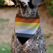 Bear Pride Flag Pet Bandana
