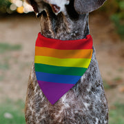 Pet Bandana - Rainbow Pride Flag