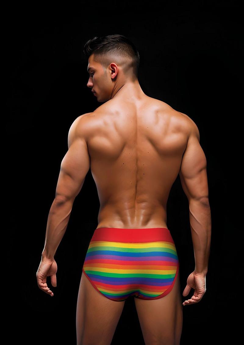 Envy Rainbow Pride Brief-Red-Sm