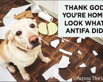 Antifa Dog Fridge Magnet