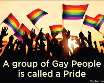 A group of gay people is c