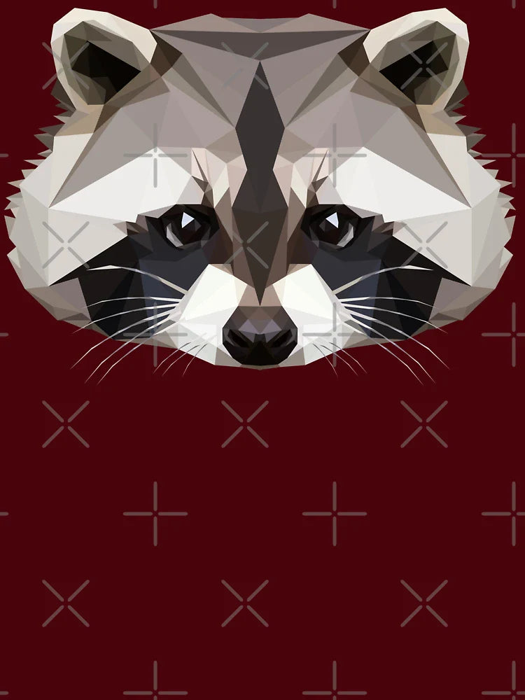Raccoon