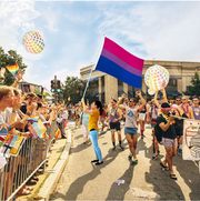 Bisexual Pride Flag 3' x 5'